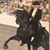 Candra Shular Carroll's profile image