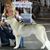 Heather Laurent's profile image