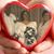 Jeanette Dale's profile image