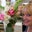 debby's profile image