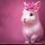 Laraib Bt's profile image
