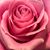 Tracy Freeman's profile image