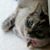 Nancy Gieffers Helme's profile image