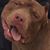 Kyle Harvey's profile image