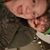Jim Sollo's profile image
