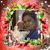 Margarita Saucedo's profile image