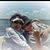Judy Braswell's profile image