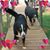 Patricia Terri Glorioso Argentieri's profile image