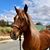 Nellie Hatton Rvt's profile image