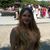 Kinga Fulop's profile image