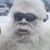 Rob Hill's profile image