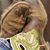 Mandy Gingerich Hall's profile image