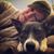 Kari Shepley's profile image