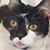 Mary Louise's profile image