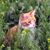 Misty Cruse's profile image