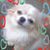 Dawn Elledge's profile image