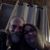 Lori McIntire's profile image