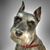 Pamela J Finley's profile image
