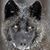 John Deaton's profile image