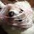 Margaret Beare's profile image