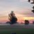 Jody Henneman's profile image