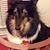 Ann Lucarelli's profile image