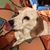 Heather Beed's profile image