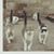 Laura Evenson's profile image
