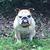 Amy Pittman-Heglund's profile image