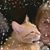 Heather M. Grey's profile image