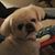 Judy Mills's profile image