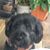 David E Berryman's profile image