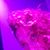 Katerina Chronis's profile image