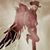 Roberto Horta's profile image