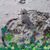 Dawn R Paquette's profile image