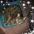 Helen Mohr's profile image