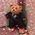Teddy B Bearskins's profile image