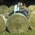 Kayla Johnson Lilly's profile image