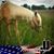 Lauren Richardson's profile image