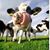 Jodi Shelton's profile image