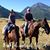 Susan McDole's profile image