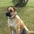 Kala Hughes Borden's profile image