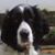 Jeri Loberg Tidwell's profile image