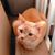 Nancy Harbison Haney's profile image