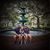 Audra Younts's profile image