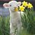 Annette Durritzague's profile image