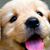 Sheila Mae Ouano's profile image