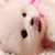 Vivar Vivar's profile image