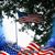 Mary Ann Hall's profile image