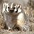 Robert Walker's profile image